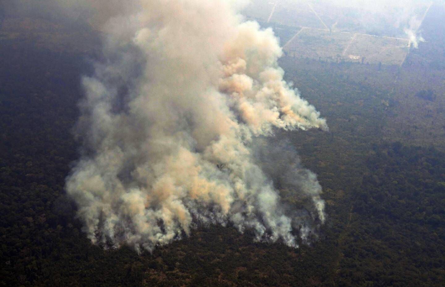 Varios países de Sudamérica se vieron afectados por una ola de calor al inicio del 2024, lo que causó incendios forestales.