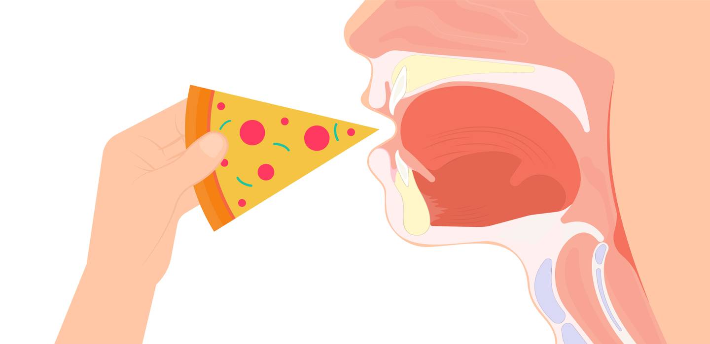 La disfagia en ocasiones se acompaña con dolor de garganta, en otras no.

Ilustración: Shutterstock