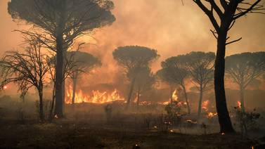 Voraz incendio forestal en la Costa Azul francesa deja una persona fallecida