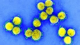 JN.1, una nueva ‘variante de interés’ del virus causante de covid-19 ¿en qué consiste?