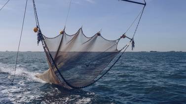 Pescadores artesanales urgen a diputados investigar regreso de pesca de arrastre