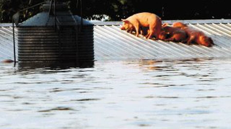 Inundaciones causan grave daño a cultivos de EE. UU. La Nación