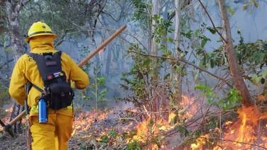 Incendios forestales en Guanacaste, Turrubares y Pérez Zeledón  mantienen brigadas a todo vapor
