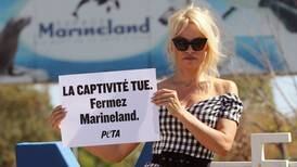 Pamela Anderson protesta en contra de los animales en cautiverio en Francia