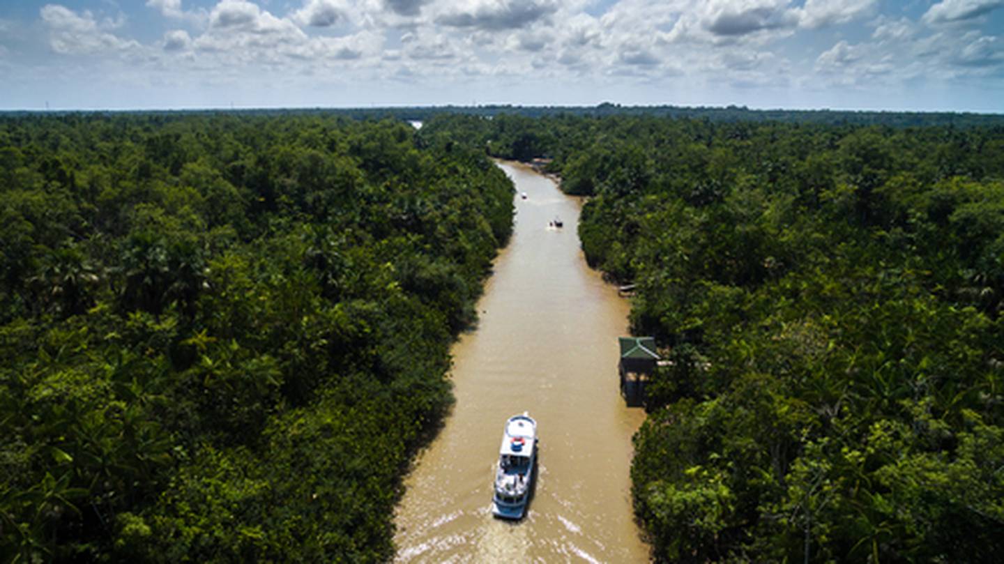 Defensores del ambiente se pronuncian por el bienestar del principal pulmón del mundo: el Amazonas.