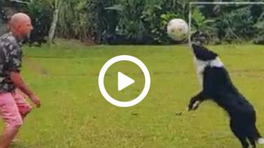 Ex volante de Herediano y Alajuelense Kenneth Paniagua muestra en un video la habilidad de su perro con la pelota