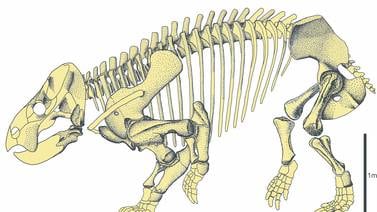 Los mamíferos tuvimos un ‘primo gigante’ durante la prehistoria