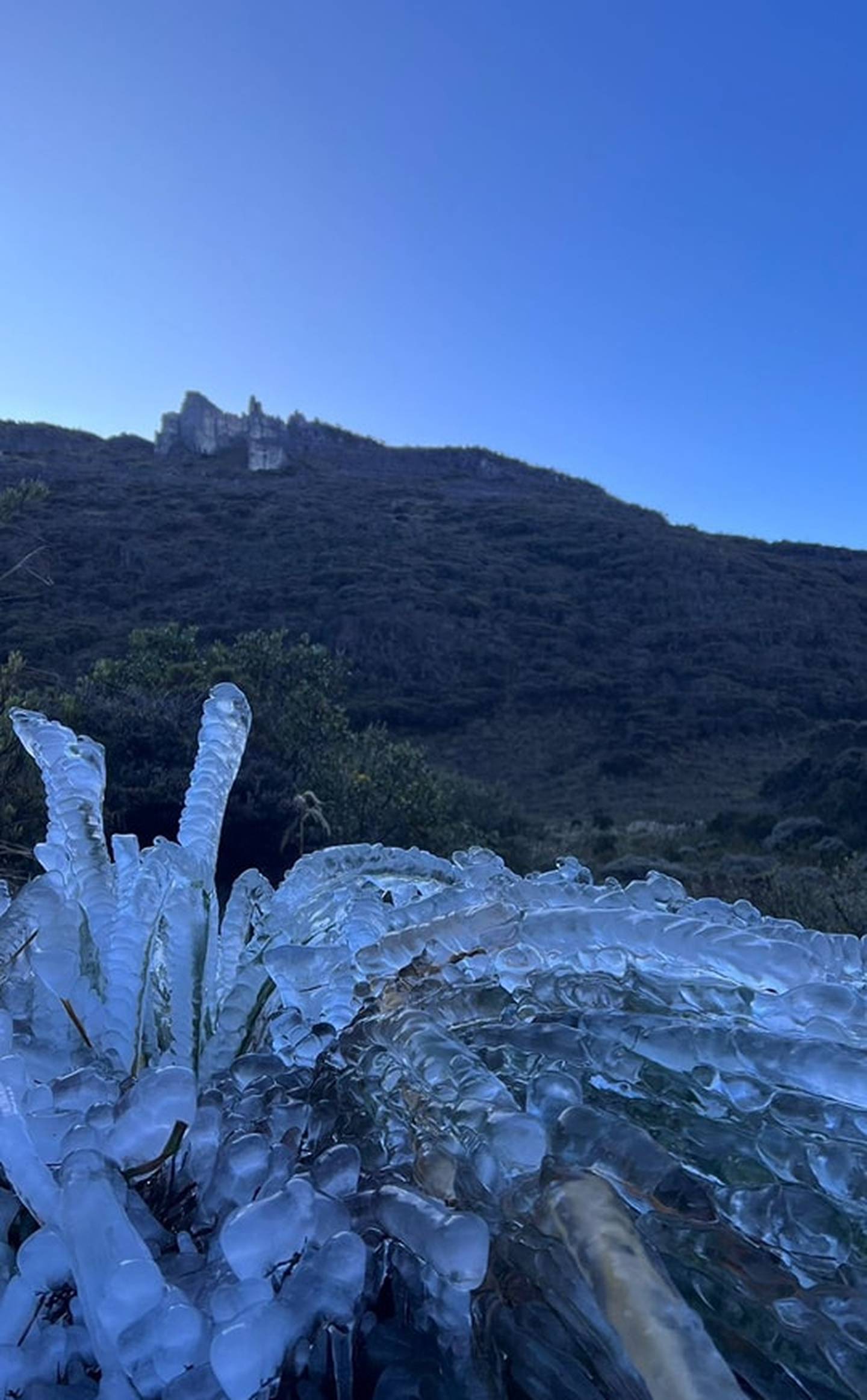 Las temperaturas cercanas a cero grados Celsius en el cerro Chirripó congelan la vegetación en esta época del año como se ve en esta foto del viernes. Al fondo los Crestones. Foto: Cortesía Jean Martínez M.