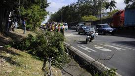 Fuertes vientos ocasionan 22 incidentes por caída de objetos y árboles