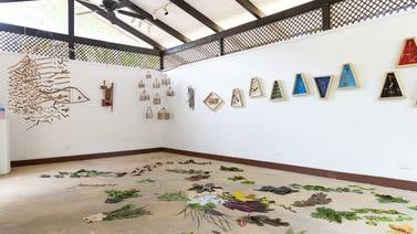 Pi Art Festival: gestión y celebración cultural en la costa guanacasteca