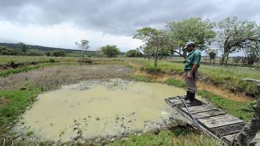 Autoridades cambian tarifa de riego en Guanacaste para bajar consumo