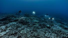 Arrecife coralino gigante maravilla a científicos en Tahití