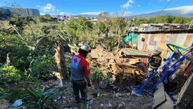 Enorme higuerón aplastó tres viviendas en Alajuela, una señora murió en el sitio