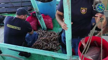 Ingenio para burlar prohibición en pesca de arrastre sorprende a Guardacostas