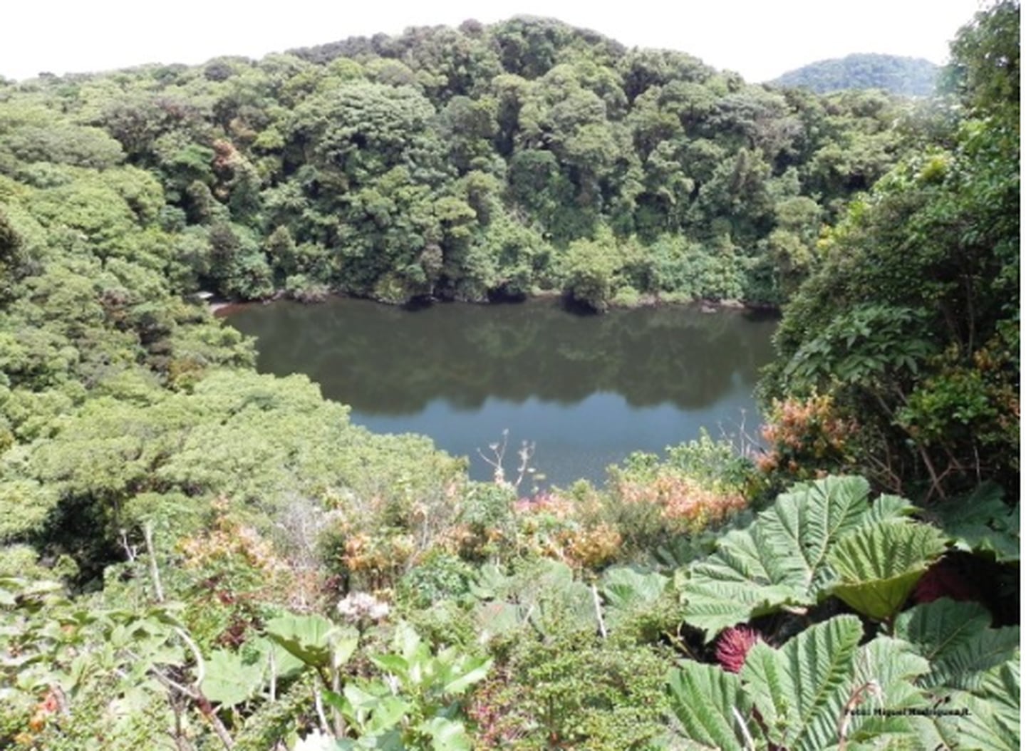 El Parque Nacional Braulio Carrillo se ubica al norte del Valle Central, sobre la Cordillera Volcánica Central. (Sinac)