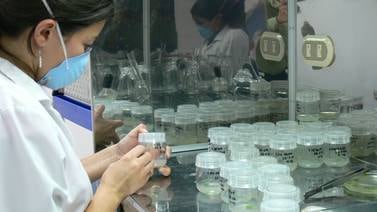Laboratorio de la UCR está listo para tratar químicos peligrosos del país