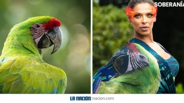 Modelo Carolina Coto se transforma en hermosas especies ticas para celebrar el Bicentenario