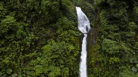 Costa Rica recibe $54 millones por esfuerzo en revertir deforestación y mitigar cambio climático