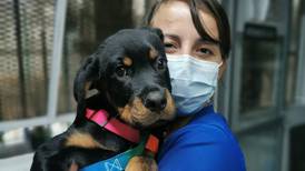 Asistente de veterinaria fallecida en accidente de ascensor usaba sus ahorros para ayudar animales