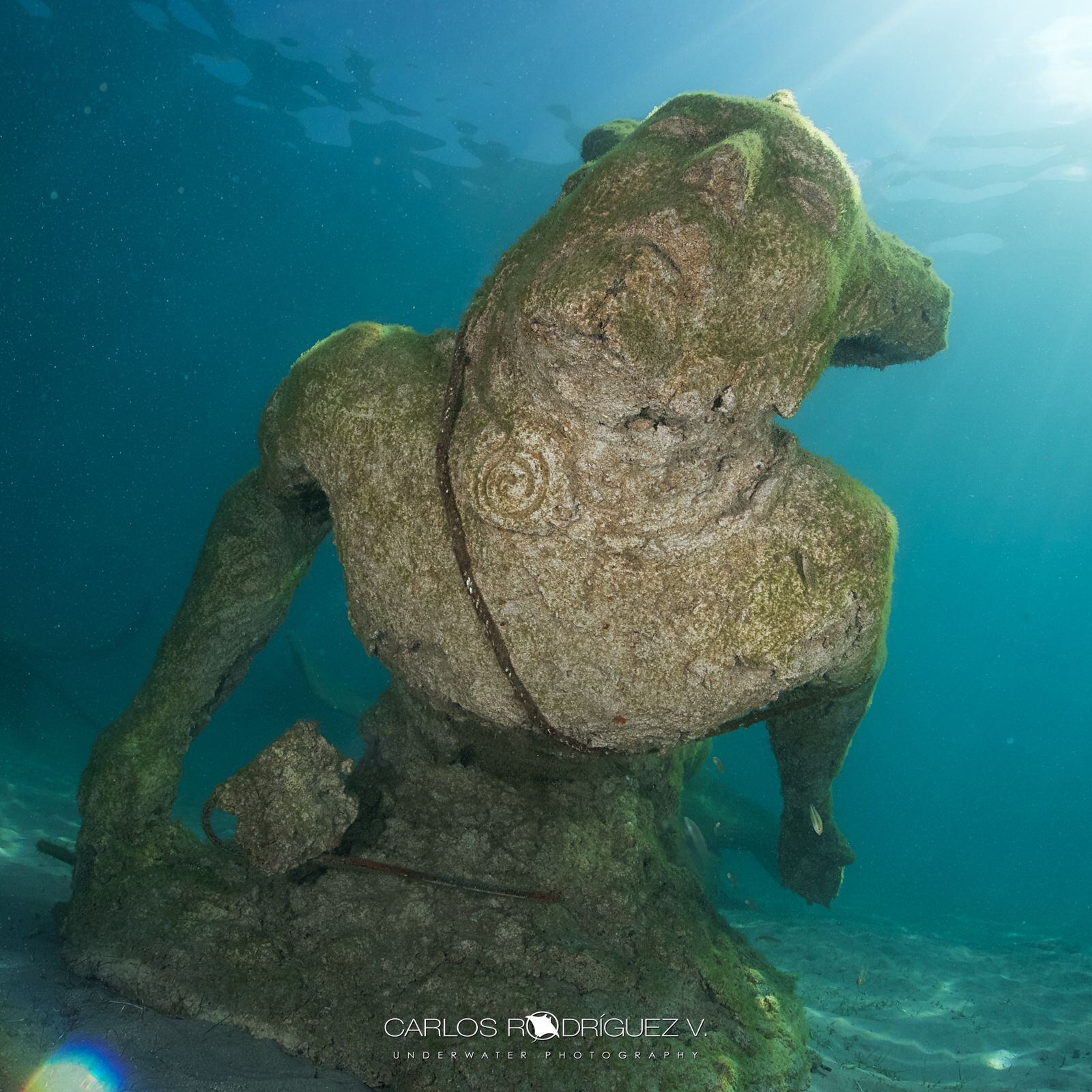 El rostro de la escultura del indígena Garabito es más liso que el resto de su cuerpo. La idea es que su cara pueda seguir viéndose con claridad y que en esa zona no se adhiera vida marina. Foto: Carlos Rodríguez V.
