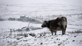 Gran Bretaña se congela por hielo y nieve que paralizan tráfico y causan apagones