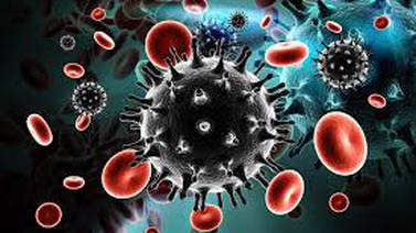  Científicos probarán nueva vacuna contra VIH en humanos 