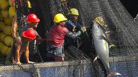 Decreto intenta ordenar la pesca de atún en aguas de Costa Rica