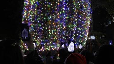 15.000 puntos de luz del árbol del Hospital de Niños iluminan la Navidad