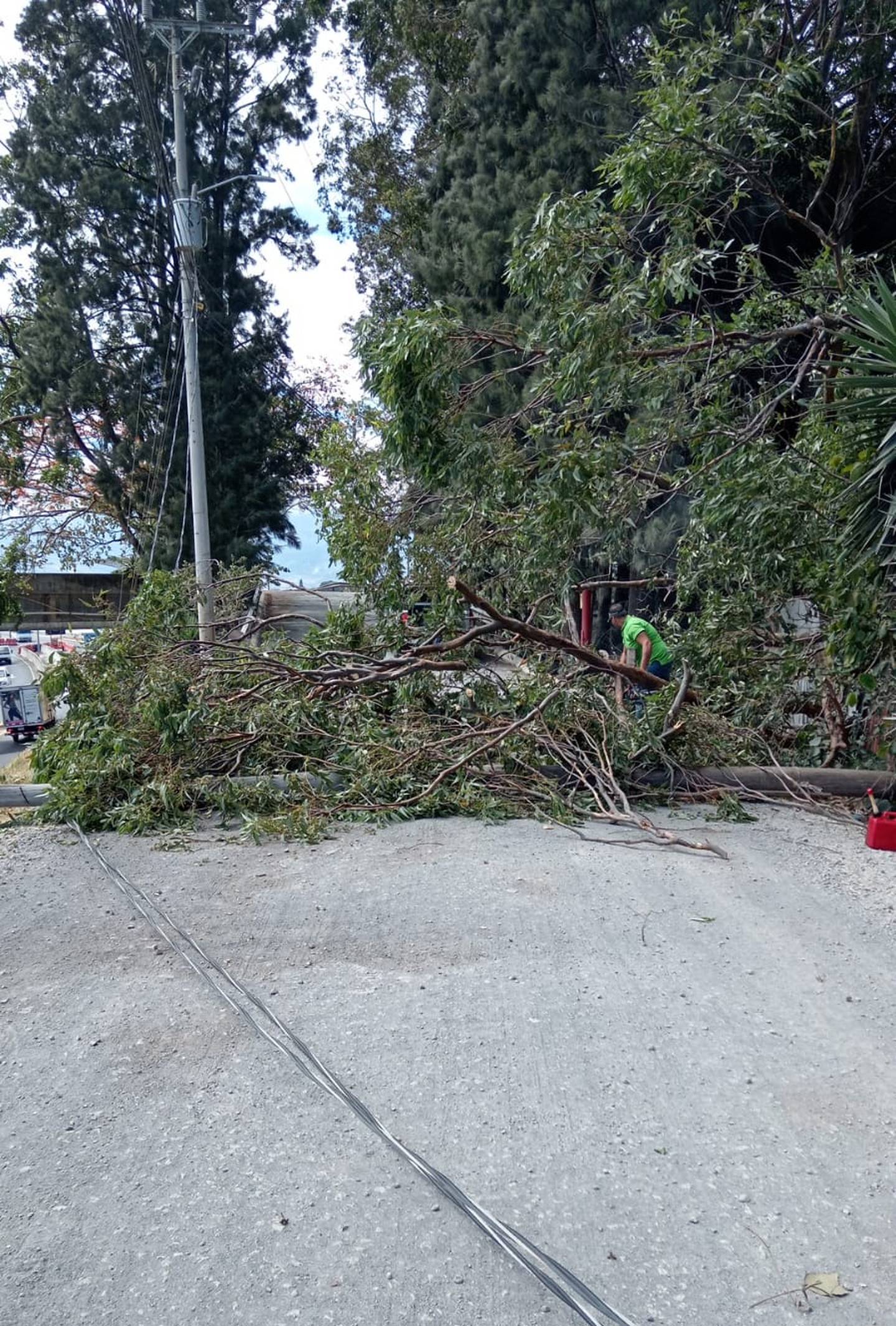 En la calle paralela a la pista, por el puente cercano al estadio Saprissa, un árbol cayó sobre parte del tendido eléctrico debido al fuerte viento:  Foto: Cortesía