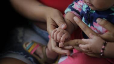 CCSS recuerda a embarazadas protegerse contra zika para prevenir daño cerebral a bebés