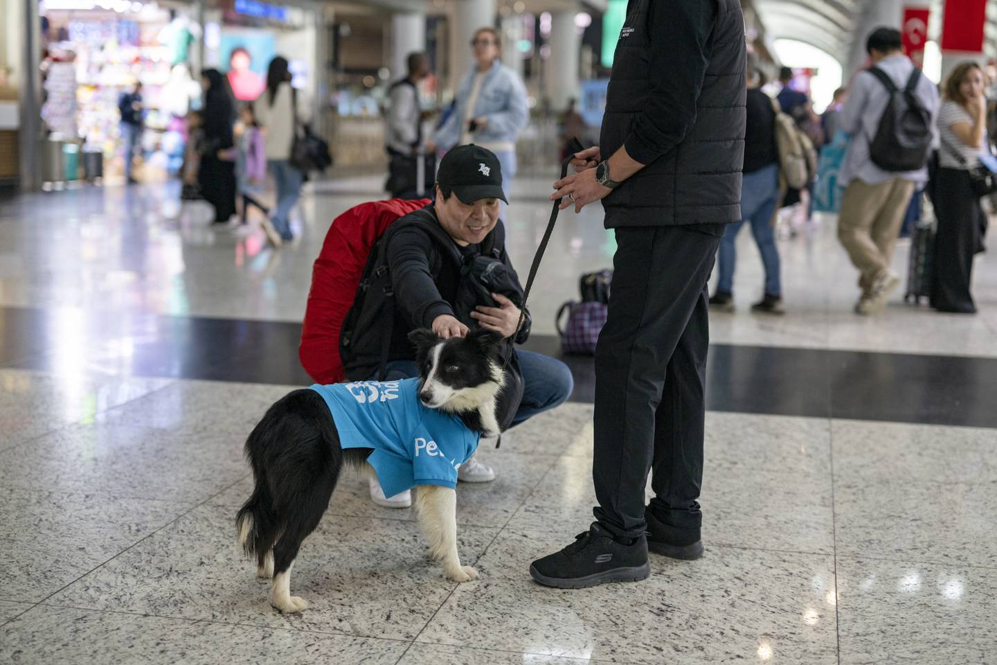 Un viajero acaricia a un perro de terapia que brinda consuelo a los viajeros estresados ​​antes de abordar su vuelo en el aeropuerto de Estambul, en Estambul, el 3 de mayo de 2024. Kuki, de seis años, y Alita, de un año y medio: la Recientemente, dos perros se unieron al personal del aeropuerto de Estambul, uno de los más transitados del mundo, brindando comodidad y alivio a los pasajeros que enfrentan la ansiedad de los viajes aéreos. (Foto de Yasin AKGUL / AFP)