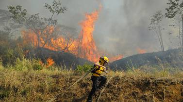  El fuego llevó hasta las cenizas más de 55.000 hectáreas de bosque