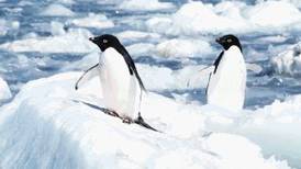 Estudio: Polo Sur se calentó tres veces más rápido que promedio mundial en 30 años