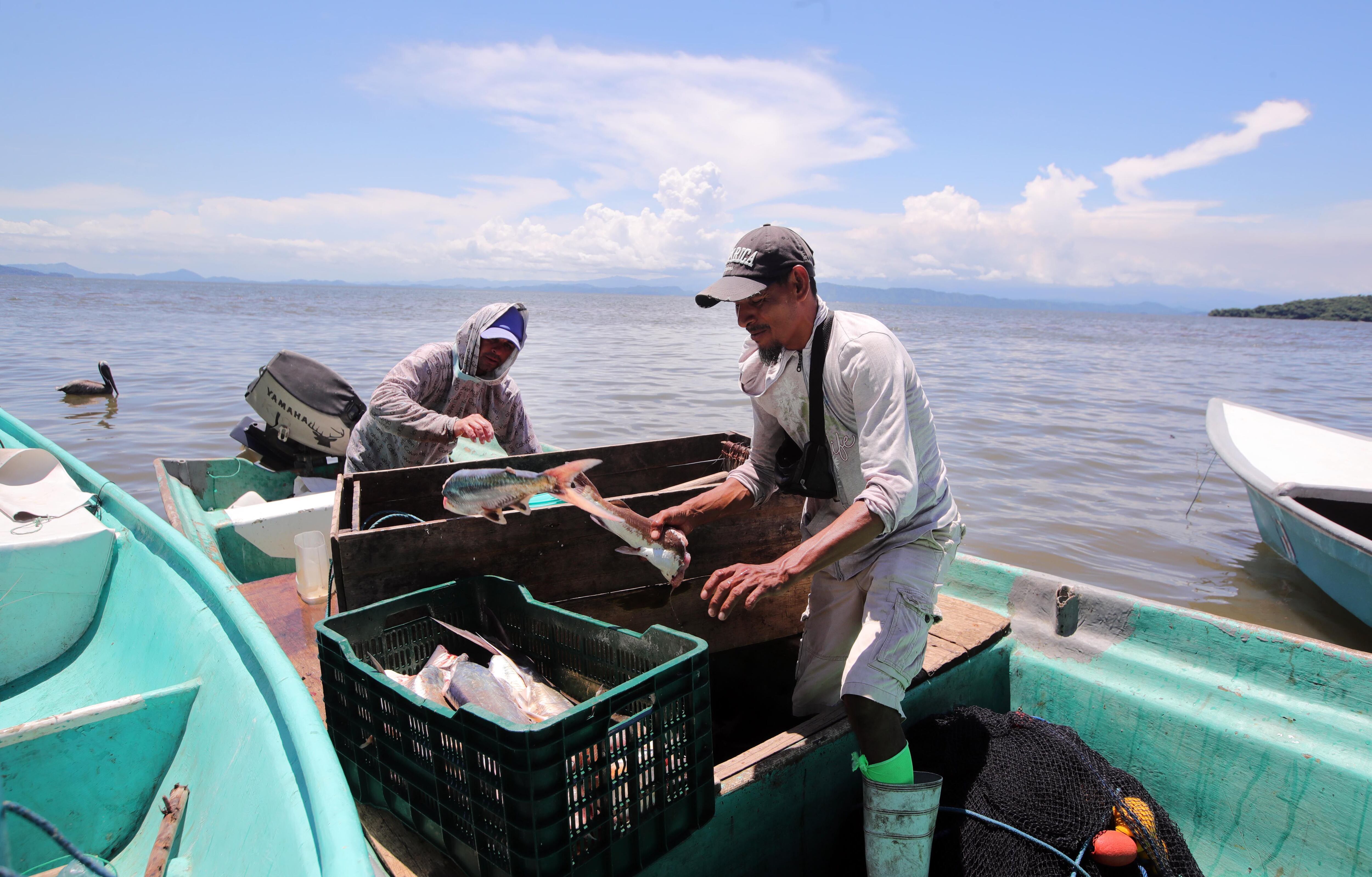 Productos pesqueros costarricenses tendrán un sello de calidad ‘Pura Vida’