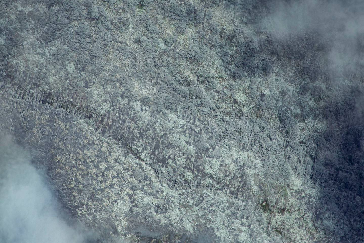 Un sobrevuelo este viernes permitió ver el baño de material ácido que quedó sobre la vegetación cercana al cráter del Rincón de la Vieja. Foto: Paulo Ruiz.
