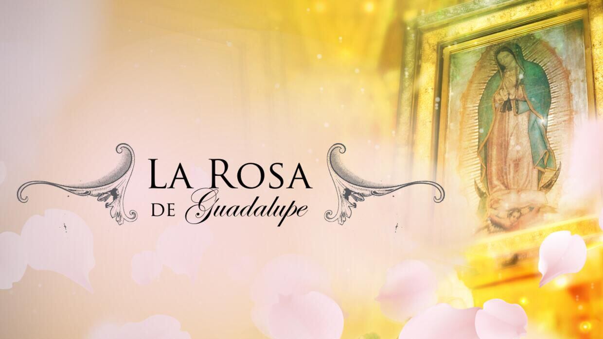 'La Rosa de Guadalupe' es una de las producciones más exitosas de Televisa. 