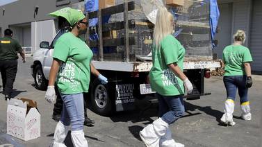 Hallan 1.000 animales muertos en un almacén cerca de Los Ángeles