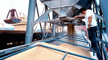 Gobierno eleva temporalmente los impuestos a importaciones de arroz integral