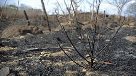 Incendios forestales en Costa Rica dañan más de 3.500 hectáreas este 2013