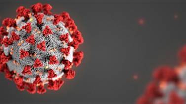 Científicos chinos hallan coronavirus en semen de infectados