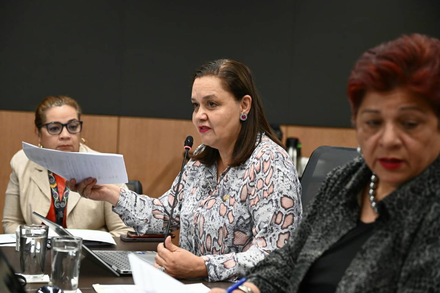 Vanessa Castro (al centro), secretaria de la Comisión Investigadora de Financiamiento Electoral, se refirió a la ausencia del canciller Arnoldo André. A la derecha, la diputada Dinorah Barquero. Foto: