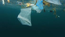 Costa Rica se encamina a eliminar los plásticos de un solo uso