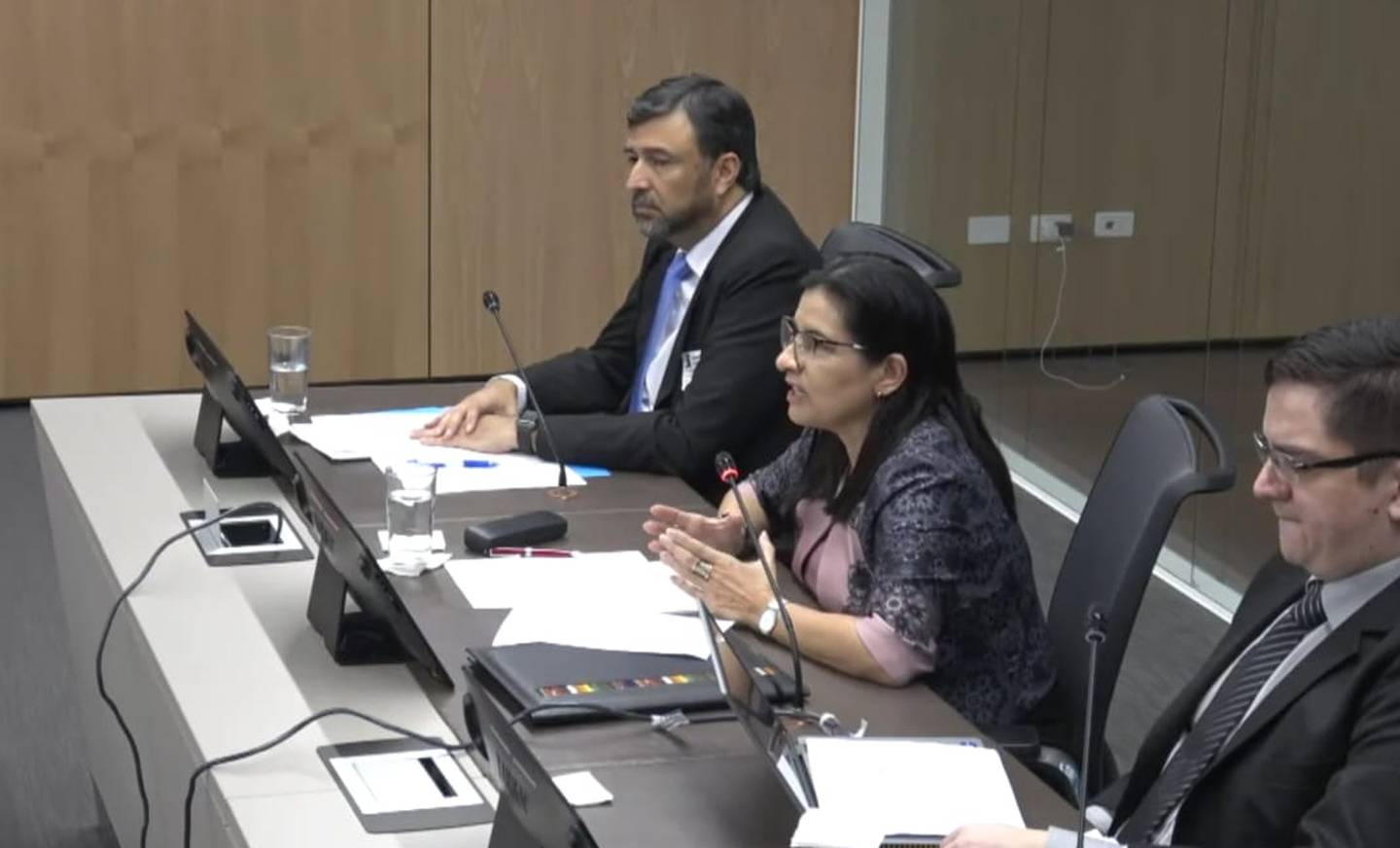 Declaraciones de Marta Eugenia Esquivel se dieron durante una audiencia en la Comisión de Asuntos Sociales de la Asamblea Legislativa.