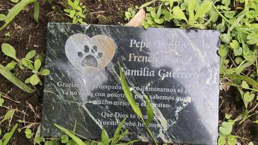 Cementerios y crematorios de mascotas:  Un adiós digno para el  mejor amigo