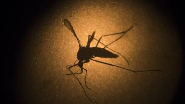 Comienza ensayo de una segunda vacuna contra el zika en Estados Unidos