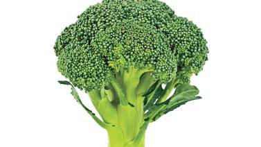 Foro: Dos asuntos con respecto al brócoli