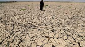 Jardín del Edén iraquí ahora ‘parece un desierto’ por sequía