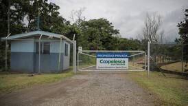 Coopelesca guarda silencio por la compra de la planta hidroeléctrica Aguas Zarcas