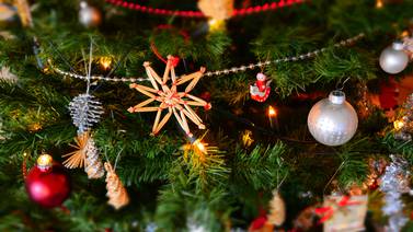 Qué hacer con tu árbol de Navidad después de diciembre (no lo quemés en la acera)