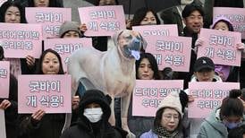 Histórica prohibición en Corea del Sur: Fin a la cría y consumo de carne de perro